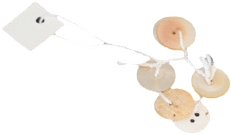 Pearl Shell buttons