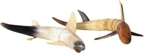 Two in one