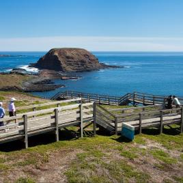 Penguin Island Boardwalks and Walk Trail