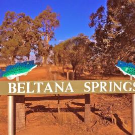 Beltana Springs