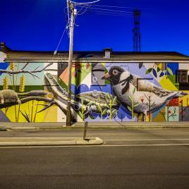 PUBLIC Silo Trail: Katanning