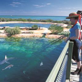 Shark Bay Marine Park