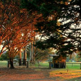Misty Valley Country Cottages