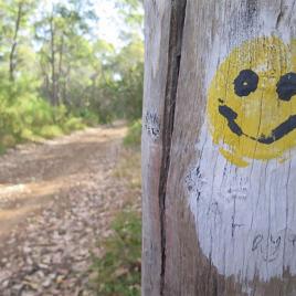 Wadandi Track, Margaret River