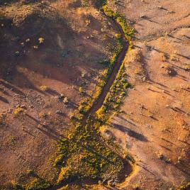 Bonney Downs Station - Group Accommodation