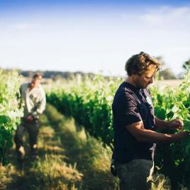 Margaret River Region Chardonnay Trail