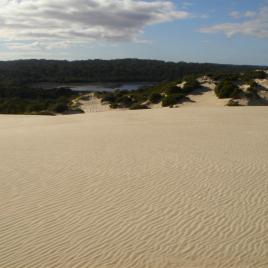 Yeagerup Sand Dunes