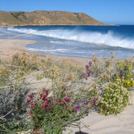 Red Bluff at Quobba Station
