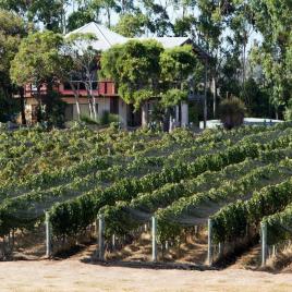 Glenmore Wine