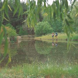 Golden Valley Tree Park