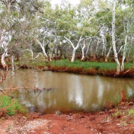 Gascoyne River