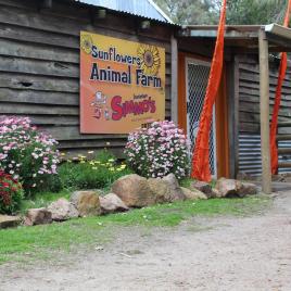 Sunflowers Animal Farm & Farmstay