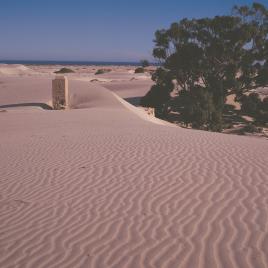 Nullarbor Plain