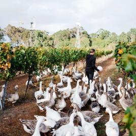 Margaret River Small Family Winery Trail