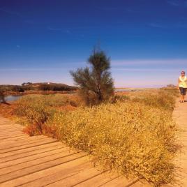 Irwin River Nature Trail