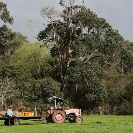 Boronia Farm