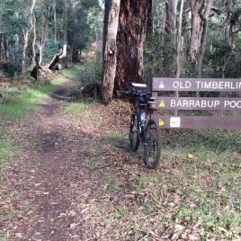 Old Timberline and Sidings Rail Trails