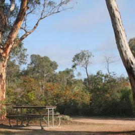 Drummonds Camp at Avon Valley National Park