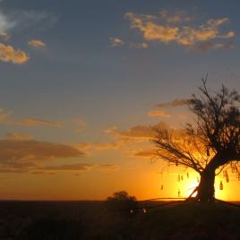 Giralia Station Stay