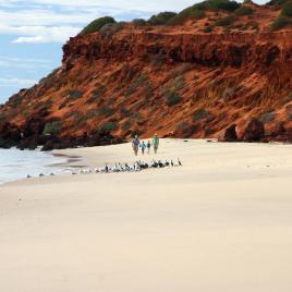 South Gregories Camp at Francois Peron National Park