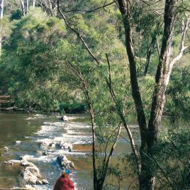 Warren Camp at Warren National Park