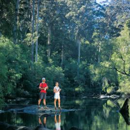 Drafty's Camp at Warren National Park