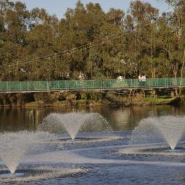 Suspension Bridge