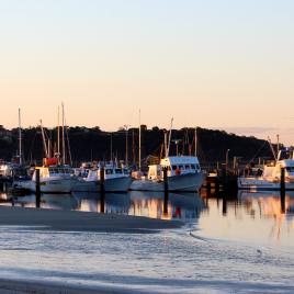 Oyster Harbour