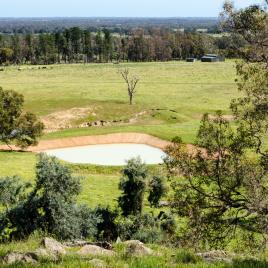 Jacaranda Hill Farm