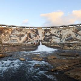 Wellington Dam Experience