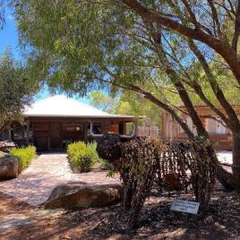 Eagle Bay Olives