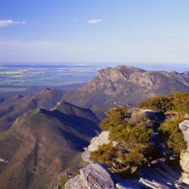 Sukey Hill Lookout