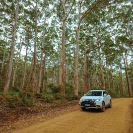 Boranup Drive