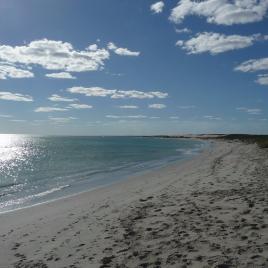 Tarcoola Beach