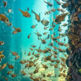 Busselton Jetty