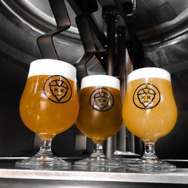 Wild Hop Brewing Company