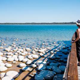 Lake Clifton Thrombolites