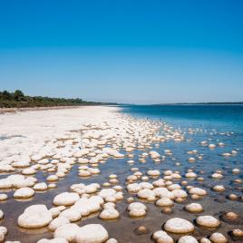 Yalgorup National Park