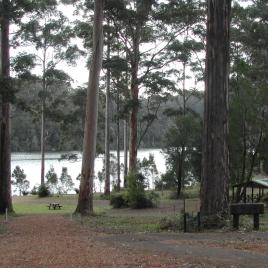 Big Brook Arboretum