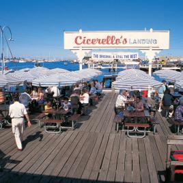 Cicerello's