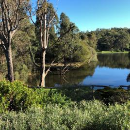 Henty Lodge Bed and Breakfast