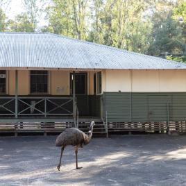 Donnelly River Village Museum Overview